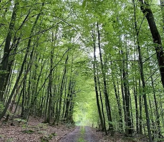 Ganze In Idyllischer Umgebung Daire *